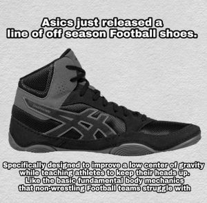 Asics Wrestling Shoes